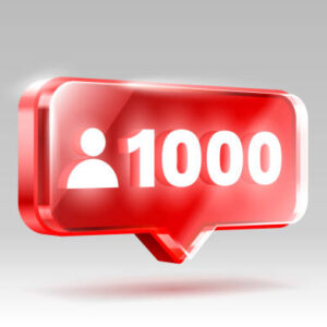 Instagram Life Time Guaranteed 1000 Followers(INDIAN)