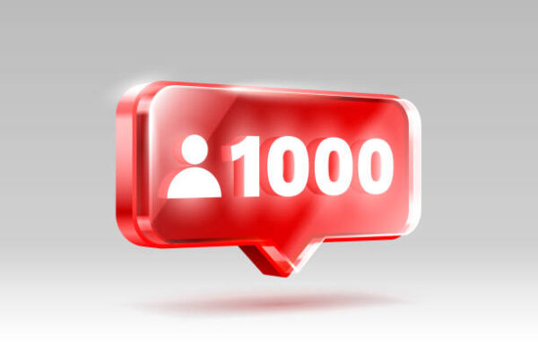 Instagram Life Time Guaranteed 1000 Followers(INDIAN)
